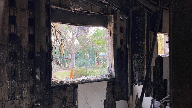 שרון ליפשיץ, נוף קקטוסים מחדר האורחים 2023-2024