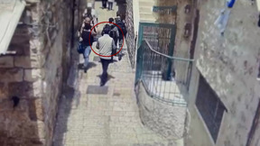 מחבל טורקי