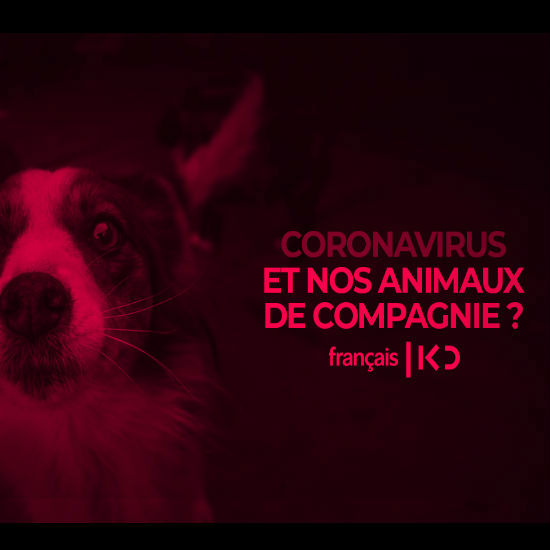 CORONAVIRUS et les animaux domestiques