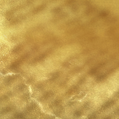Cover Desktop 1920X600 (50)
