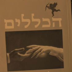 cat12613_img82026731.jpg