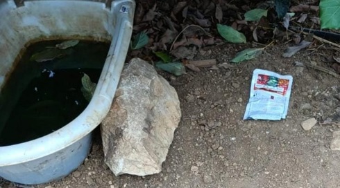תנים, נמיות וכלבים: תושב הצפון נעצר בחשד להרעלת חיות בר