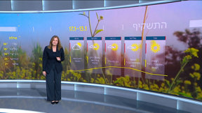 התחזית | 12.01.25