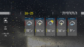 תחזית