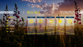 התחזית 25.05.24