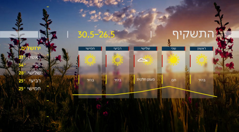 התחזית 25.05.24