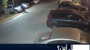 ستويدو مكان 28.5.