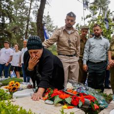 cat27071_img270109441.jpg