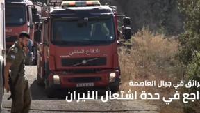 النشرة المسائية 