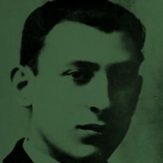 cat23879_img967393304.jpg