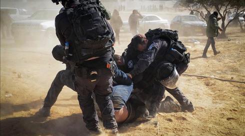 אלקין החליט: יחודשו נטיעות קק"ל בנגב