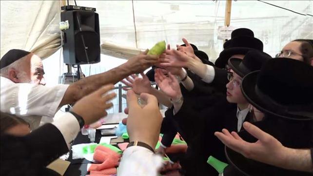 עקיבא ווייס – סוכות בלי הגבלות