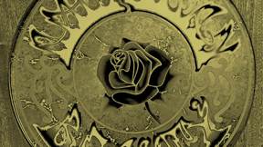 Grateful Dead - American Beauty