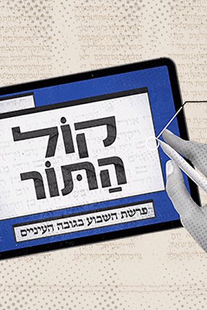 קול התור