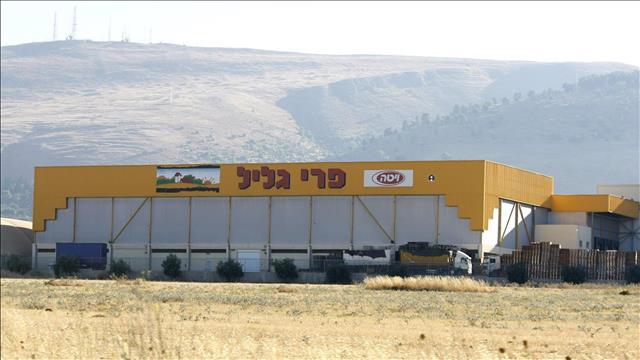 מפעל פרי הגליל, 28.06.2009