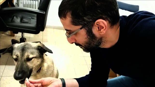 אלון שרביט המובטלים החדשים