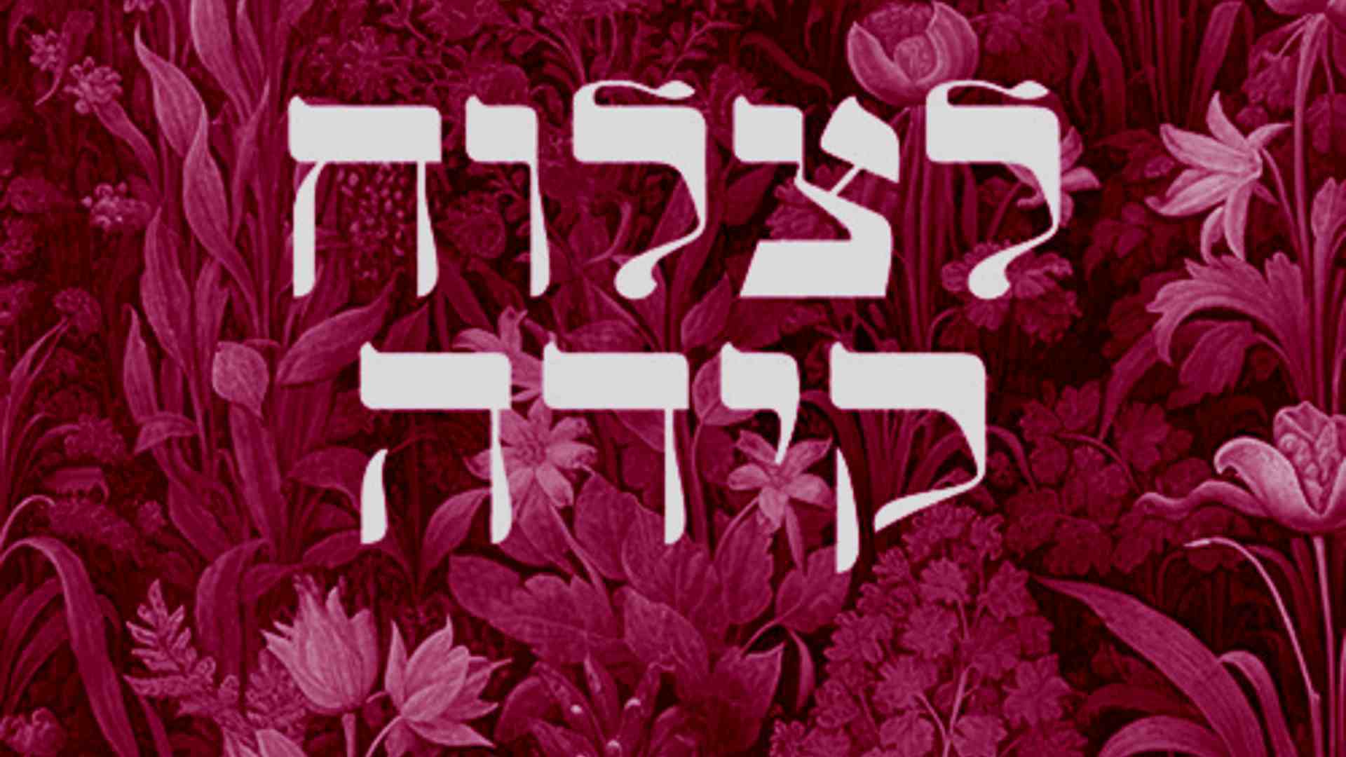 ויש כזבים, כמו לנסות לצלוח קידה