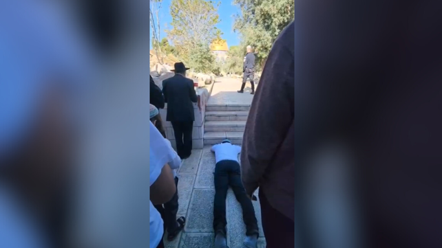 צבי סוכות משתטח בהר הבית