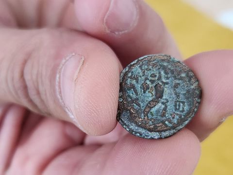 המטבע מתקופת מתיתיהו שנמצא. קרדיט: דוברות רשות העתיקות