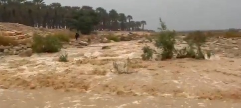 נחל ערוגות