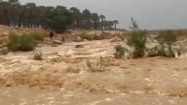 נחל ערוגות