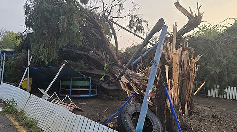18 מ"מ גשם ברבע שעה: נזק כבד בקיבוץ שער הגולן