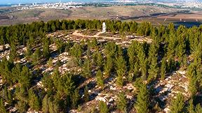 והארץ היתה תוהו ובוהו | פרק 7