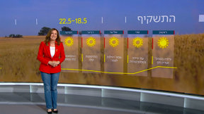 התחזית 17.05.25