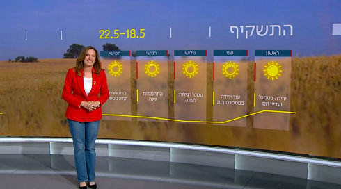 התחזית 17.05.25