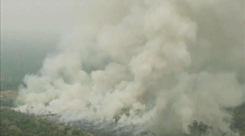 פוליטיקאים, תאגידים או מזג האוויר: מי אחראי לגל השריפות בעולם?