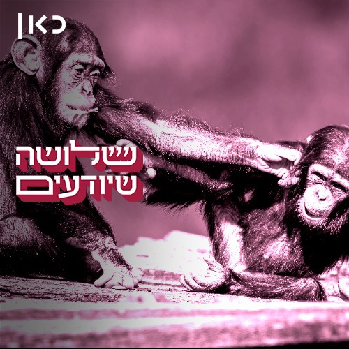 אחי שלי הקט, הקשב
