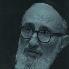 הרב יוסף דוב, סולובייצ'יק