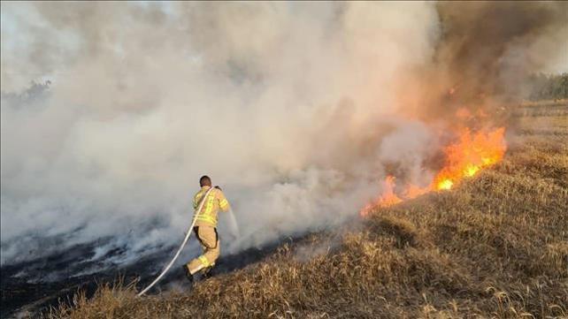 שריפות בעוטף עזה מבלוני תבערה