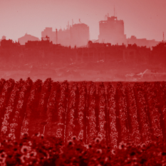 קו המחרשה