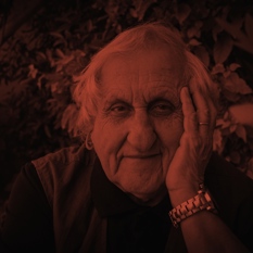 cat27812_img136636402.jpg
