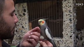 ישראל והתוכי בבית המחסה