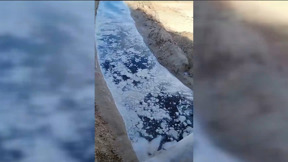 ג'יפה וסירחון: הגשם הראשון הביא איתו ערימות לכלוך לחופים