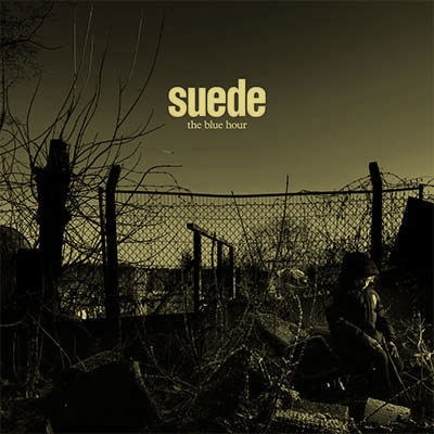 ספיישל Suede
