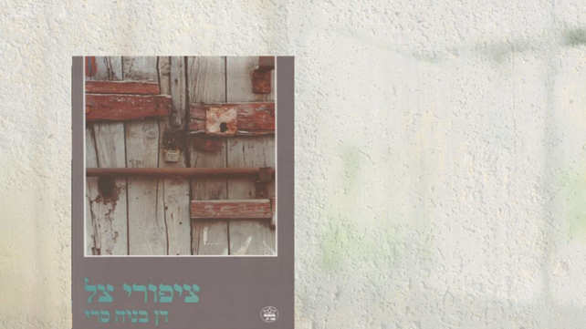 מערכת כאן