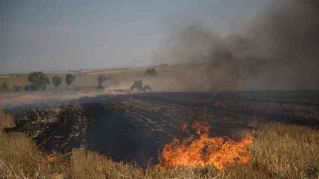 נזקי עפיפון תבערה בעוטף עזה