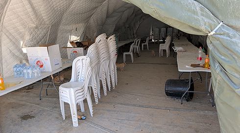 מוצב האימים של המילואימניקים בעזה: "חיות עושות צרכים על הציוד וישנות איתנו במיטות"