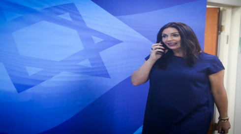 פרסום ראשון: יוזמת רגב - לא חוקית