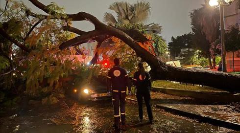 סוער בחוץ: שלג בחרמון, גשם והצפות באזור המרכז