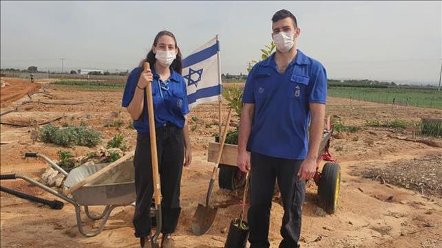 ט"ו בשבט, נטיעה
