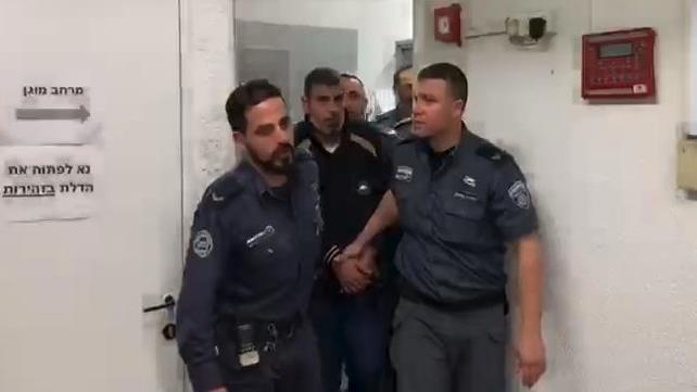 וליד ותד