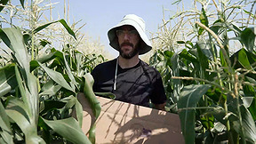 מחזור אוכל