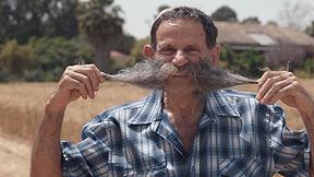 יונה כץ