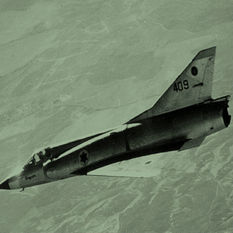 cat19179_img315910163.jpg