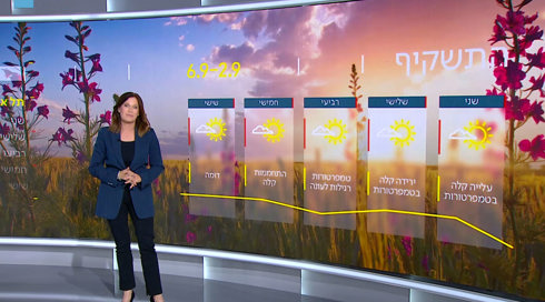 התחזית של שרון: טפטופים בשעות הבוקר