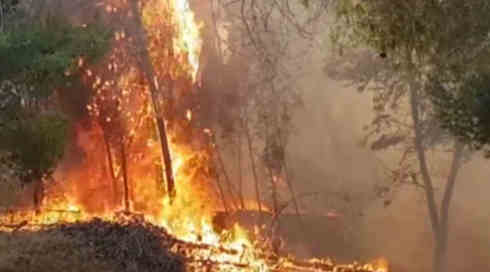 שמורת טבע הושמדה: הנזקים העצומים של רחפני הנפץ מעזה